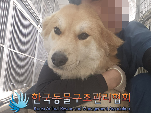 한국동물구조관리협회_411310202400664